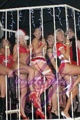 Sat, Dec 20, 2008 Naughty or Nice Christmas Desirous TMZ-The Mystery Zone Houston TX Members NightClub Photo