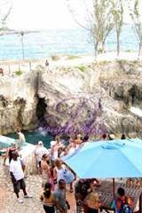 Fri, Jul 3, 2009 Wild on Hedonism II Hedonism II Negril Jamaica Resort Photo