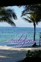 Sun, Apr 20, 2014 Wild On Desire Pearl Spring 2014 Desire Pearl Resort  Puerto Morelos Resort Photo